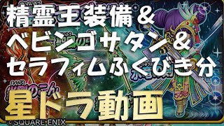 星ドラ　忘れていたべビンゴサタン＆セラフィム装備ふくびき分