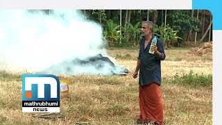 കിളികളോട് തീക്കളി | Dhim Tharikoda Thom | Mathrubhumi News