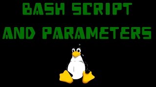 How to use parameters in bash script and terminal