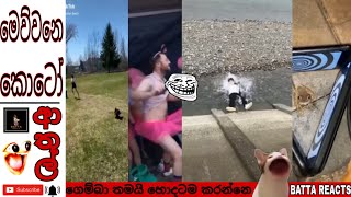 සත්තුත් දෙන ආතල් 😂💔 |  ANIMAL FUNNY | @BATTAREACTS