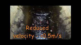 FlexiBaffles Help Fish Pass Culverts