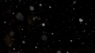 Beachfront B-Roll: Snow Falling (Free to Use HD Stock Video Special Effects)