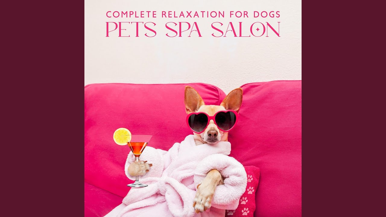 Hypnotic Dog Relief Youtube