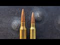 338 Lapua vs 300 Win Mag: CLOSER Than You Think On Mild Steel