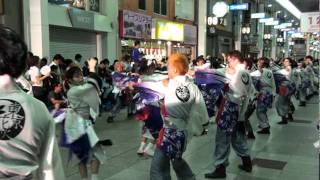 第58回よさこい祭り　早稲田大学　東京花火さん