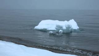 Kongsfjorden, Ny-Ålesund