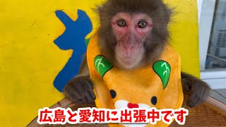 Qたろうジュニア差し入れ頂きます❗️みきゃんが喋った⁉️