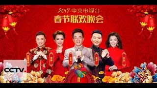 2017 CCTV Spring Festival Gala