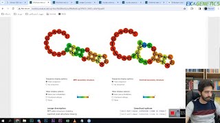 بیوانفورماتیک - پیشبینی ساختار ثانویه RNA با استفاده از RNAfold