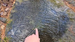 500 Year Old Petroglyphs - Bedford - Nova Scotia - Canada