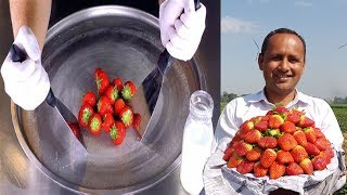 ASMR | Strawberry Ice Cream Rolls By Mubashir Saddique | Village Food Secrets