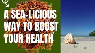 A Sea-Licious Way to Boost Your Health, Sea Moss: The Superfood That's Making Waves in 2023