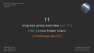 11 sing-box proxy overview - challenge iperf3