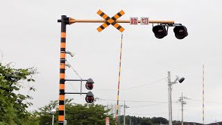 【踏切】真岡鉄道　放置された巨大踏切 (Railroad crossing in Japan)