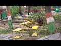 cyclone biparjoy updates 22 injured trees uprooted in gujarat mumbai rajasthan on alert