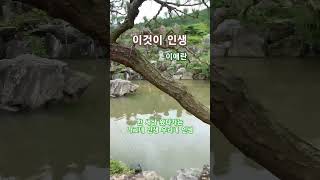 인생이란 무엇인가/이것이 인생/이애란 #트로트 #인생 #기억 #추억 #이것이 인생 #이애란