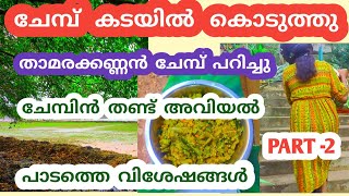 കടേൽ കൊടുത്തു, താമര കണ്ണൻ ചേമ്പ്, താൾ അവിയൽ,വയലിലെ വിശേഷങ്ങൾ♥️♥️♥️/COLOCASIA SELL AND STEM RECIPE,