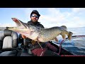 winter trolling fishing monster pike on lough derg using big baits