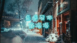 萨顶顶 - 当遇见你（电视剧《冰糖炖雪梨》片尾曲）【动态歌词Lyrics】高清无损音质❤❤