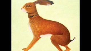 Wayward Hum - Vashti Bunyan