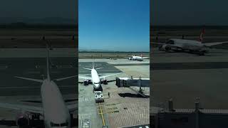 Plane spotting airport bridge and huge airplane. #airplane #airport #planespotting #plane #aviation