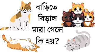 বাড়িতে বিড়াল মারা গেলে কি হয়? #বিড়াল #বিড়াল_পালন