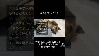 犬が「この人嫌い」と思った人にだけ見せる行動 #shorts