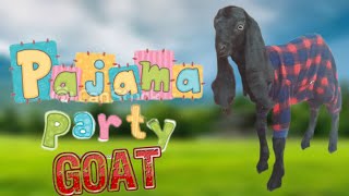 baby goat pajama party