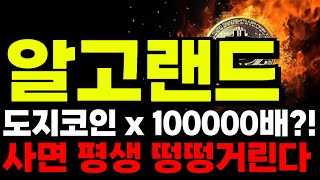 [알고랜드 코인]🚨대박났다 대박났어🚨\