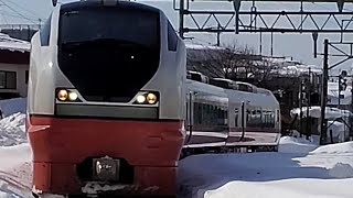 E751系 A101編成 トプナン 古川踏切通過 JR東日本