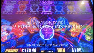 5 Dragons Rapid | 9 Purple Dragons picked.