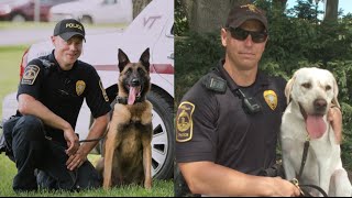 Meet Toro and Nero: Newest K-9 members of the Virginia Tech Police Department