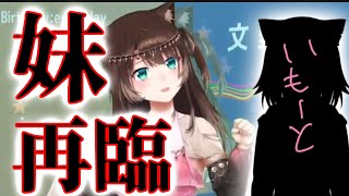 妹、再臨。姉タジタジ【にじさんじ】【文野環/野良猫】#NIJINYANJI​