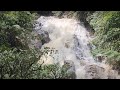 Trail 9 and Robinson Falls: A Scenic Hike in the Cameron Highlands