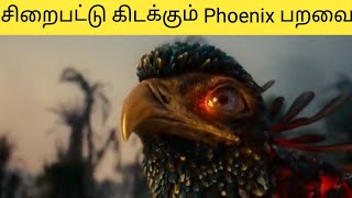 பறக்கும் குதிரையுடன் அட்டகாசம் செய்யும் வாலிபன் | Movie Explanation in Tamil | Halo Jang | Shajjath