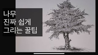 누구나 쉽게 하는 나무그리기 꿀팁