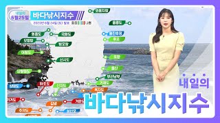 [바다낚시지수]23년6월25일 서해안과 제주도 인근 해상 풍랑예비특보 발효, 강한 바람과 높은 물결 예상 / 해양예보방송