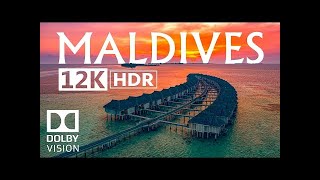 Maldives 12K HDR 60fps Dolby Vision @Alex Ahmed
