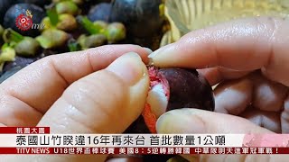 泰國山竹隔16年再來台 首批包裝違規禁輸入 2019-09-07 IPCF-TITV 原文會原視新聞