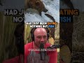 Eating Bear Meat That Tastes Like Fish | JRE