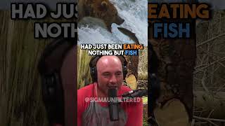 Eating Bear Meat That Tastes Like Fish | JRE