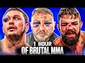 1 Hour Of Knockouts & Brutal MMA Moments