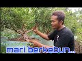 Berkebun Sambil Program Bonsai