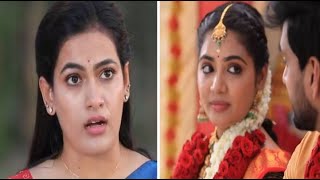 Chellamma | Episode Promo | 29th June 2024