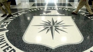 Ex-CIA analyst on why WikiLeaks document release is dangerous