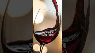 와인 눈물(Wine Tears)이란? 와인잔 속의 신비한 눈물! #와인 #혼술 #쇼츠