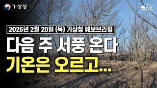 슬슬 롱패딩 세탁 준비. 바싹 마른 대기에 산불 비상(2025년 2월 20일 기상청 예보브리핑)