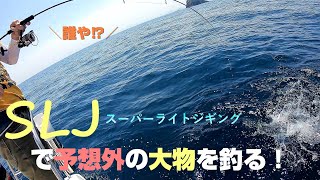 ライトジギングと一つテンヤで青物と予想外の大物が釣れた！