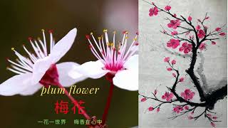 #the easy Way to draw a branch of red plum blossom(2) #畫一枝梅花，零基礎也能掌握