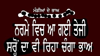 ਨਰਮੇ ਨੇ ਫੜ੍ਹੀ ਤੇਜੀ  cotton price today Narma basmati taaja mandirate in Punjab